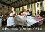 Mezinárodní folklorní festival Folklor bez hranic
