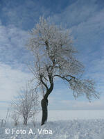 Mikroregion HORŇÁCKO