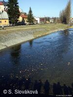 * Z DĚNÍ VE MĚSTĚ