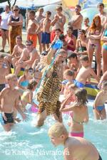 * Z DĚNÍ VE MĚSTĚ