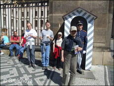 Společnost pro podporu lidí s mentálním postižením v ČR,o.s.